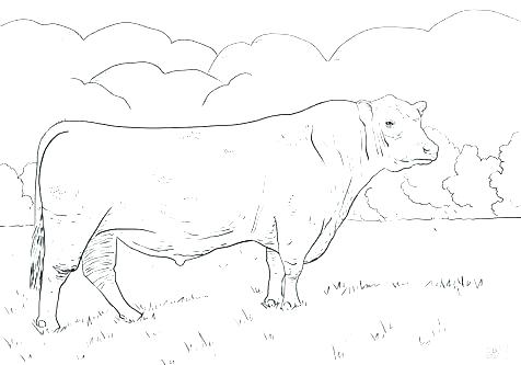 476x333 Bull Riding Coloring Pages Bull Riding Coloring Pages Free Bulldog