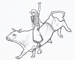 250x200 Bull Riding Coloring Page Free Printable Bull Riding Toys