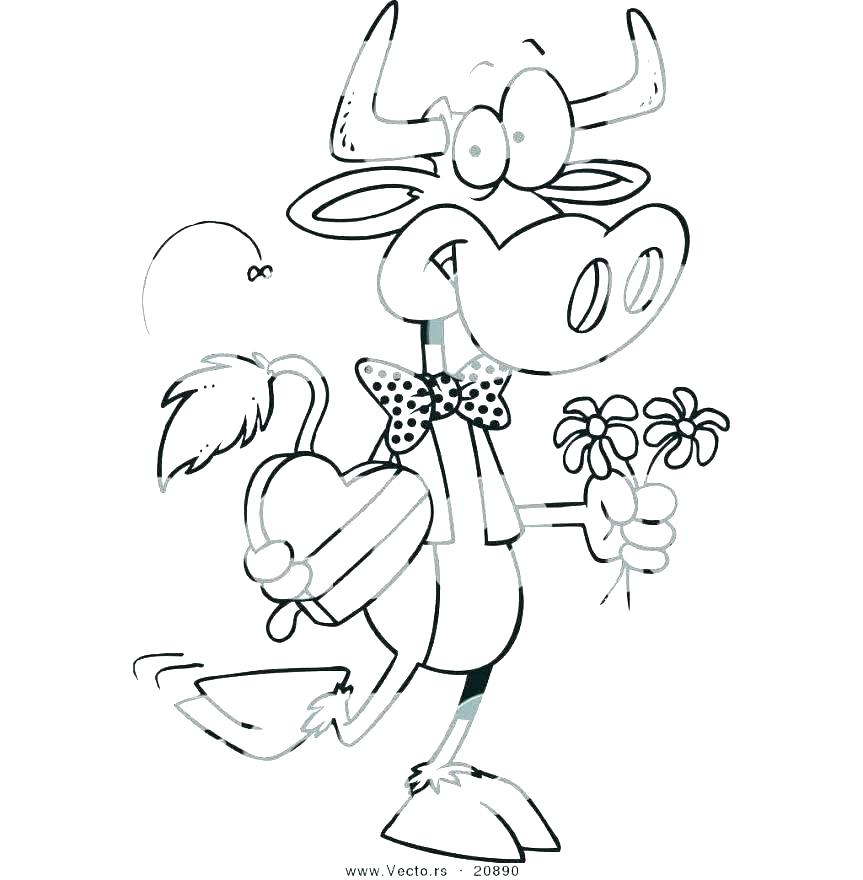 863x880 Bull Riding Coloring Pages