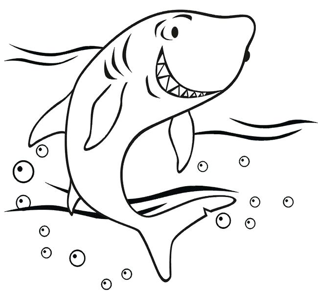 650x600 Shark Coloring As Well As Whale Shark Coloring Page Free Shark
