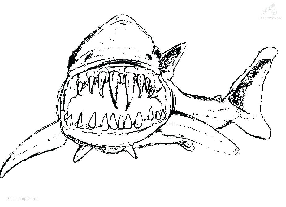 924x668 Shark Coloring Pages Basking Shark By On Shark Coloring Pages