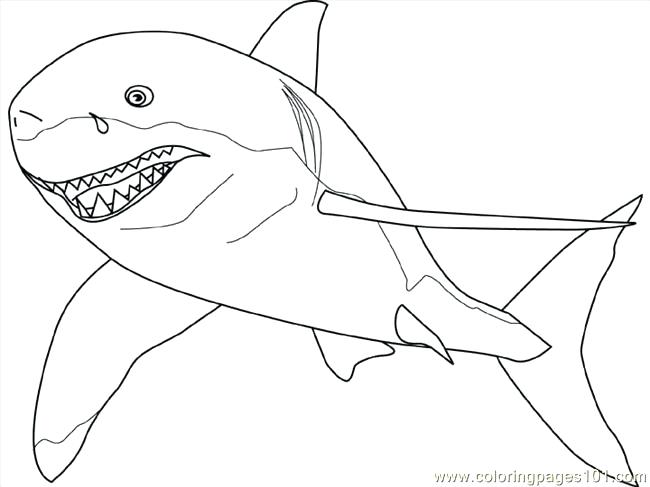 650x487 Shark Coloring Pages Free Printable Shark Coloring Pages Images