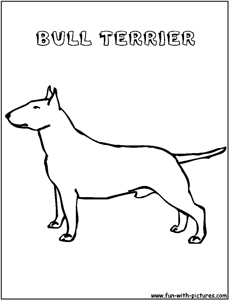 800x1050 Coloring Page