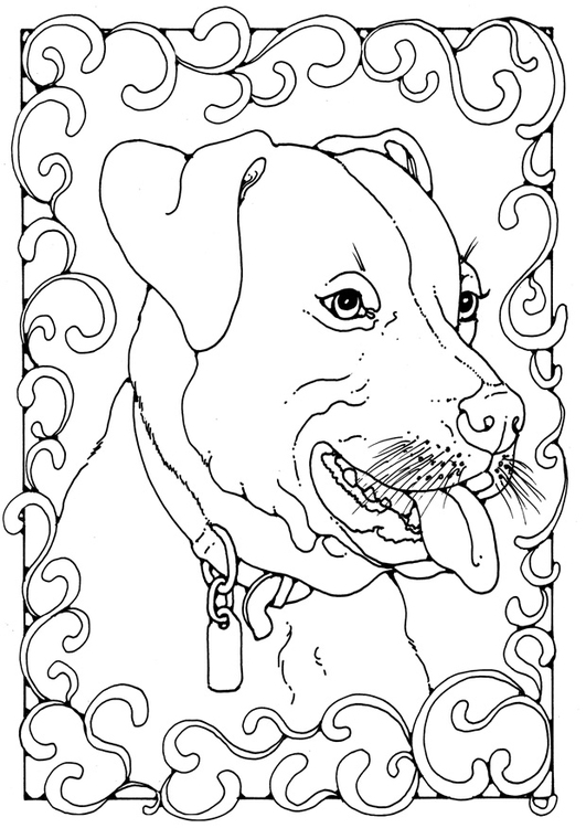 531x750 Coloring Page Staffordshire Bull Terrier
