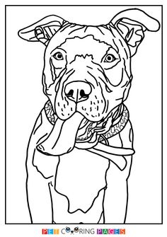 236x335 Free Printable American Pit Bull Terrier Coloring Page Available