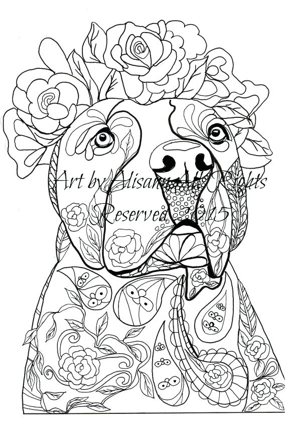 570x863 Pit Bull Coloring Pages Coloring Pages Elegant Pit Bull Terrier