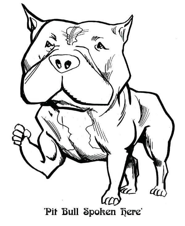 600x735 Pitbull Coloring Pages Coloring Page Coloring Page Pit Bull