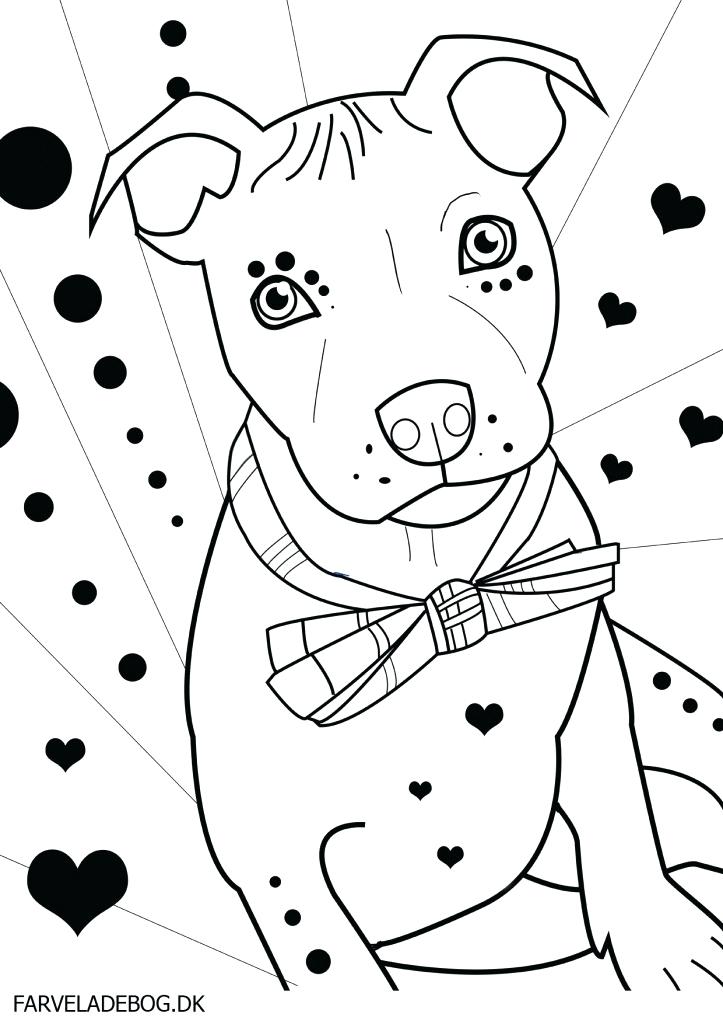 723x1024 Pitbull Coloring Pages Pit Bull Terrier Coloring Page Pitbull