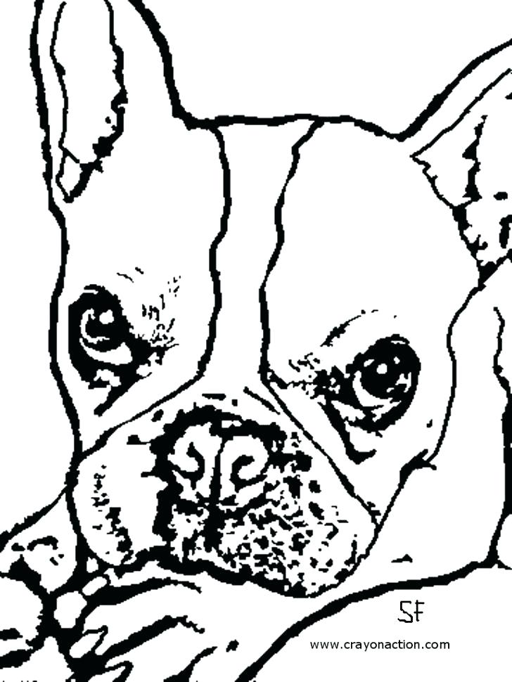 728x970 French Bulldog Coloring Pages Bulldog Coloring Pages French