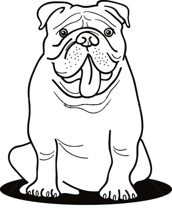 600x746 Funny Bulldog Coloring Pages Best Place To Color