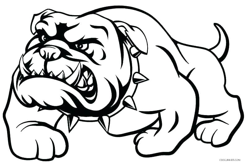 800x530 Bulldog Coloring Pages