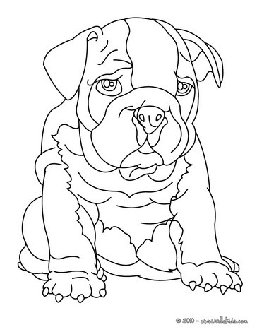 Bulldog Coloring Pages 364x470 Bulldog Coloring Pages