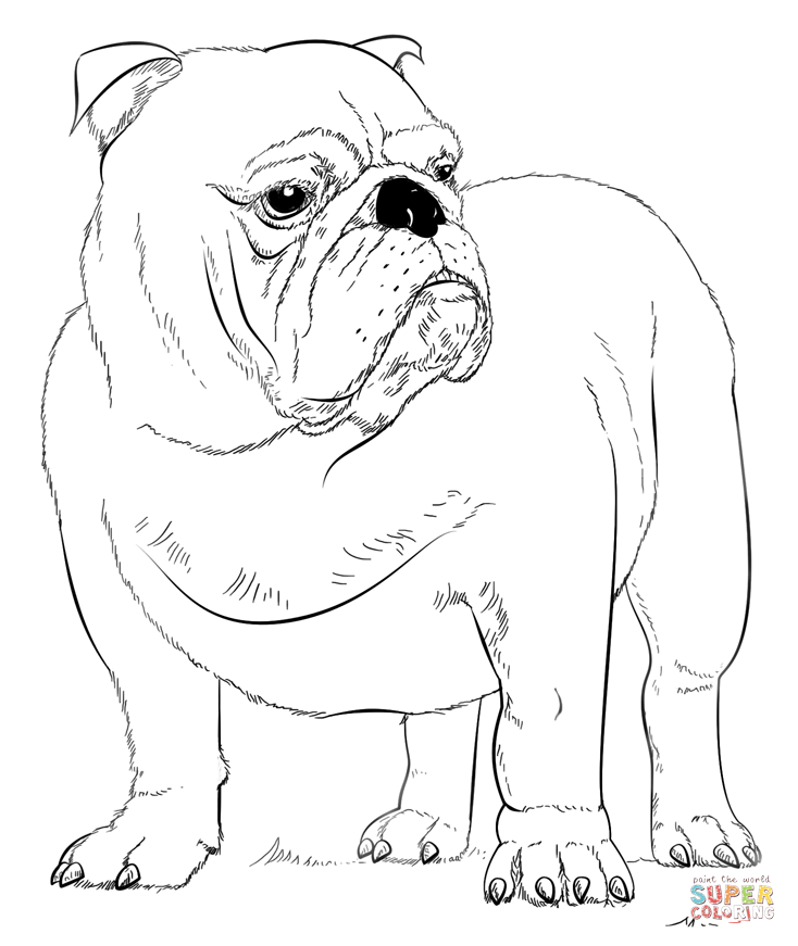 Bulldog Pictures To Color English Bulldog Coloring Page Free 734x871 Bulldog Pictures To Color English Bulldog Coloring Page Free