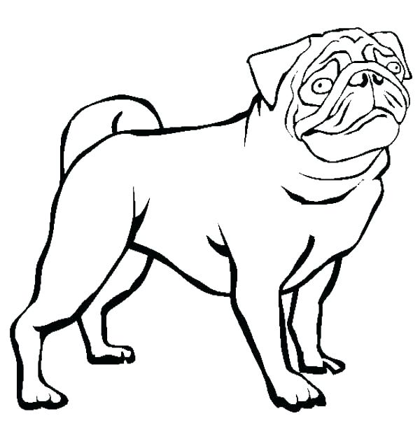 600x614 Bulldog Coloring Pages Bulldog Coloring Pages Bulldog Coloring