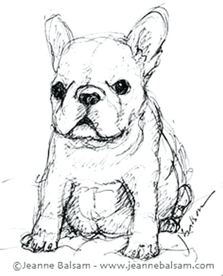 438x540 Bulldog Coloring Pages French Bulldog Coloring Pages Bulldog Puppy