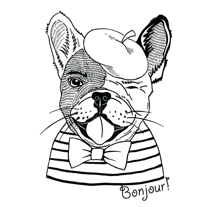 736x720 Bulldog Coloring Sheets French Bulldog Coloring Page Free