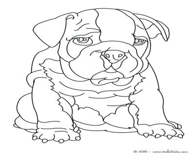 Bulldog Puppy Coloring Pages at GetColorings.com | Free printable ...