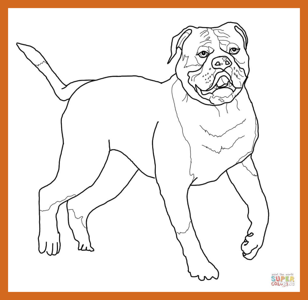 1266x1234 Puppy Outline Coloring Page