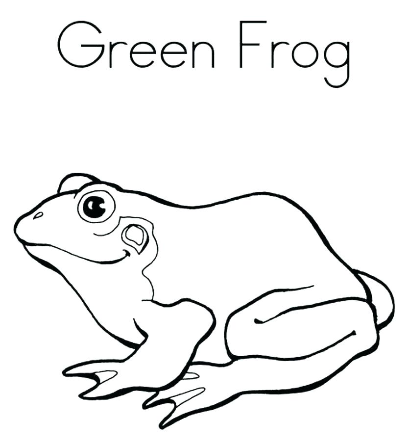 Coloring Page Of A Frog Printable Frog Coloring Pages Frogs 833x911 Coloring Page Of A Frog Printable Frog Coloring Pages Frogs
