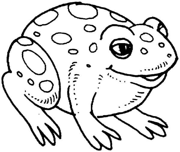 Bullfrog Coloring Page at GetColorings.com | Free printable colorings ...