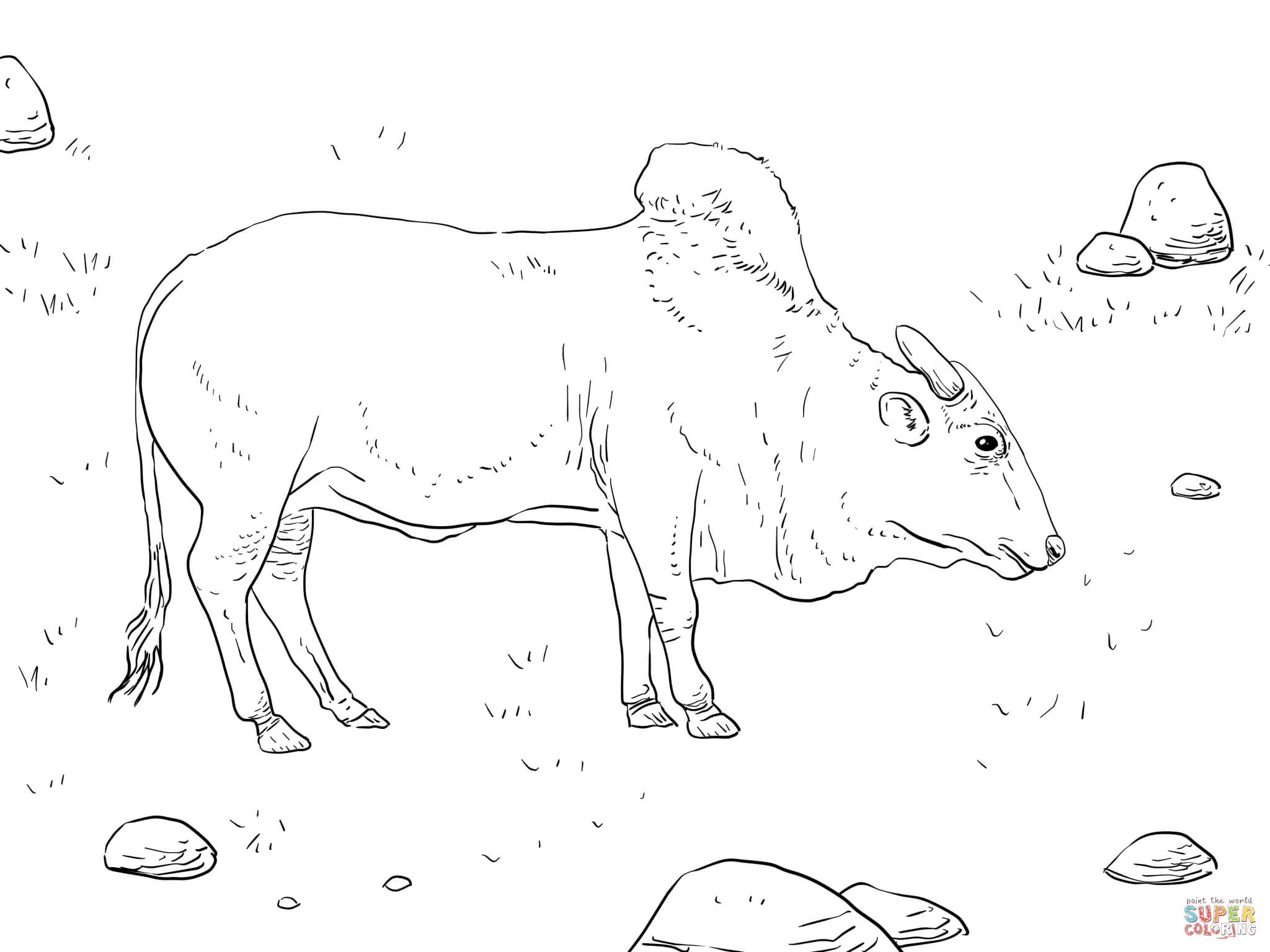 Bull Coloring Page Free Draw To Color 2048x1536 Bull Coloring Page Free Draw To Color