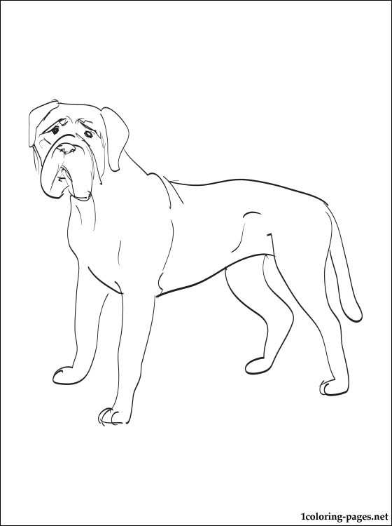 Bullmastiff Coloring Page Coloring Pages 560x750 Bullmastiff Coloring Page Coloring Pages