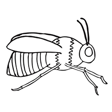 230x230 Top 15 Bumblebee Coloring Pages For Your Little One