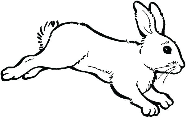 Bunny Rabbit Coloring Pages Bunny Rabbit Coloring Pages Print 600x383 Bunny Rabbit Coloring Pages Bunny Rabbit Coloring Pages Print
