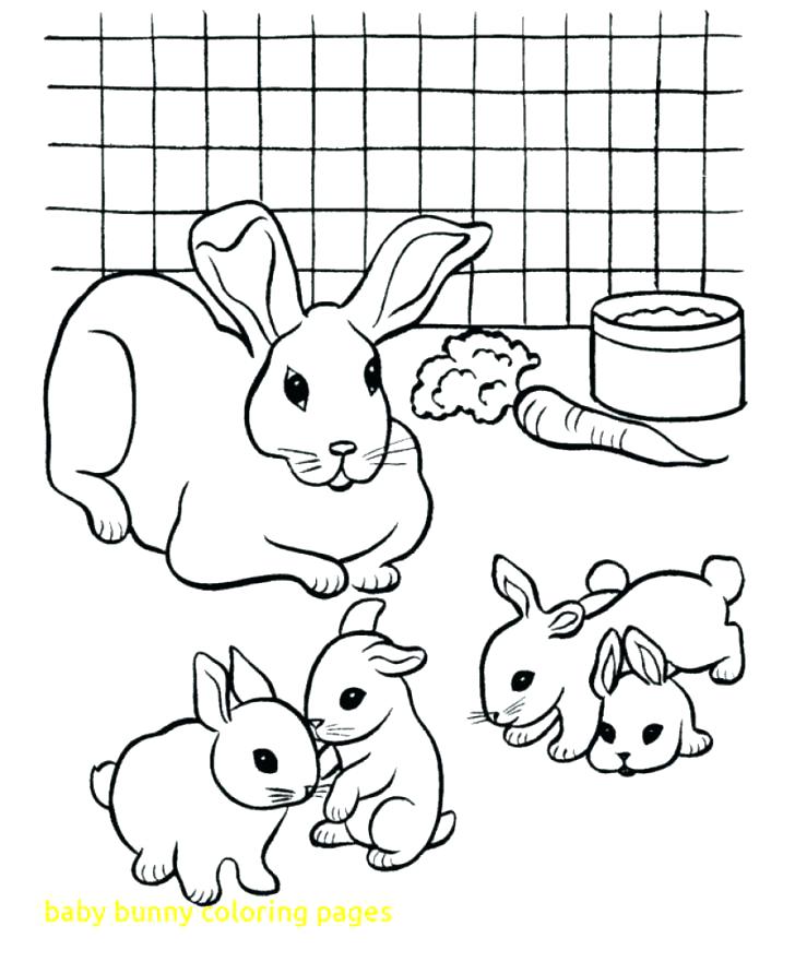 Baby Rabbit Coloring Pages Bunnies Coloring Pages Baby Bunny 728x892 Baby Rabbit Coloring Pages Bunnies Coloring Pages Baby Bunny