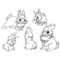 Top 15 Free Printable Bunny Coloring Pages Online 230x230 Top 15 Free Printable Bunny Coloring Pages Online