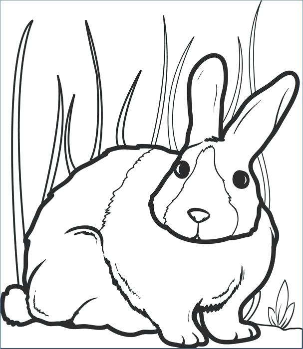 607x700 Printable Bunny Coloring Pages Bunny Coloring Pages Bunny Coloring