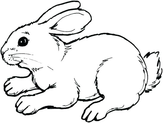 550x413 Easter Bunny Coloring Pages To Print