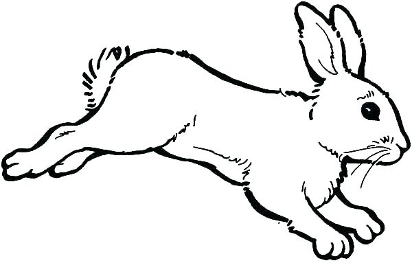 600x383 Printable Bunny Coloring Pages Bunny Colouring Pages To Print
