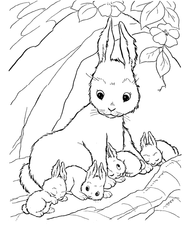 650x796 Baby Bunnies Coloring Pages Download And Print For Free