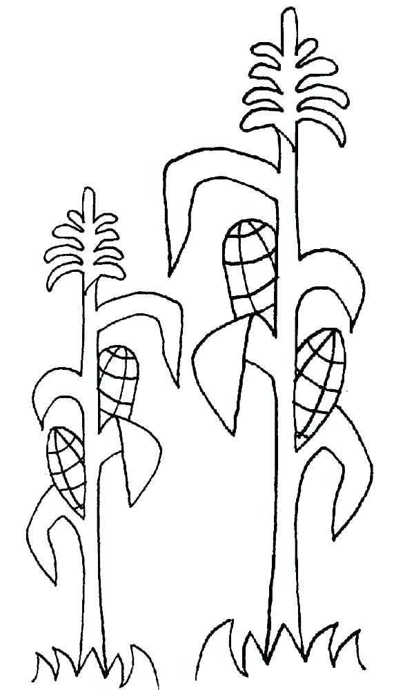 600x1000 Ear Coloring Page Ear Coloring Page Ears Coloring Page Ears