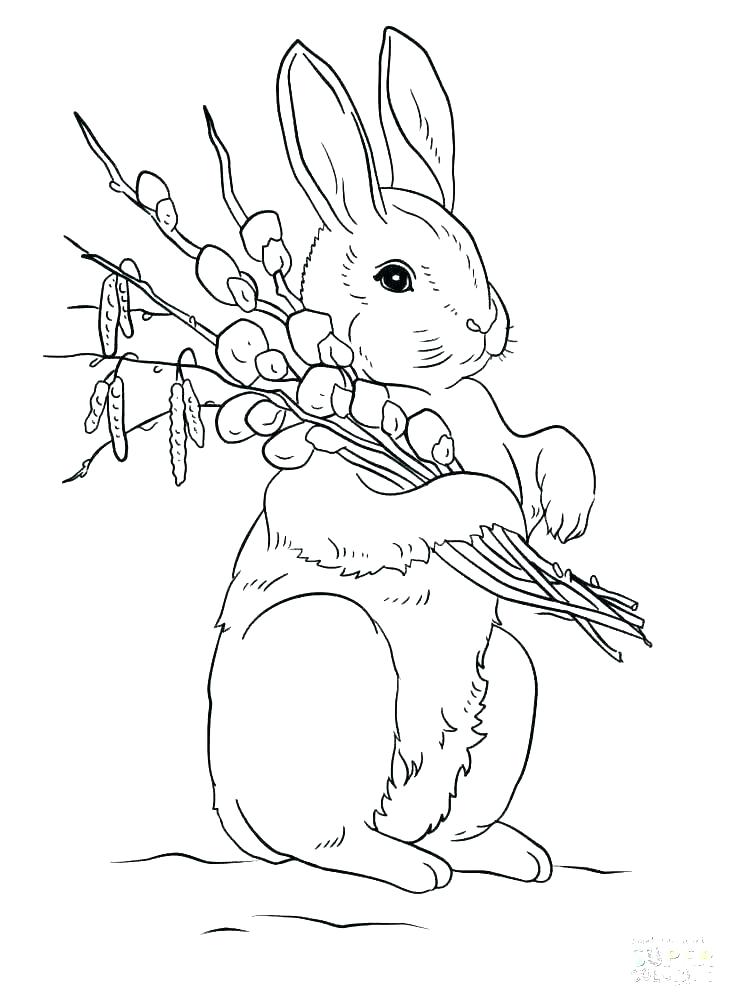 Soulmetalpodcast: Bunny On Head Coloring Pages