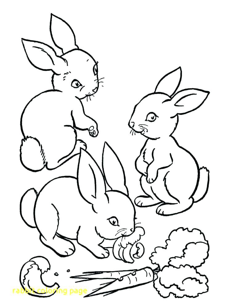 750x1000 Coloring Pages Of Coloring Pages Rabbit Free Printable Coloring