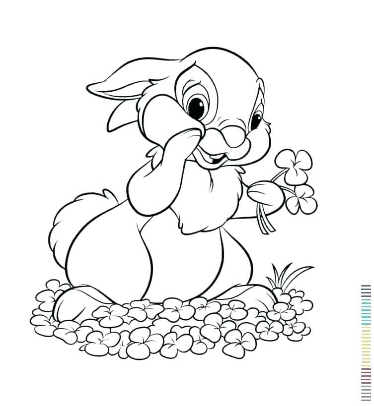 753x819 Baby Rabbit Coloring Pages