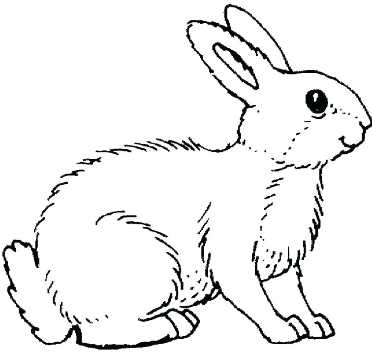 756x716 Bunny Rabbit Coloring Pages Bunny Rabbit Coloring Page Bunny