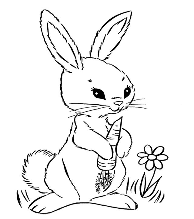 640x724 Bunny Holding A Carrot Coloring Page Kids Coloring Pages