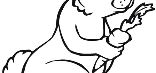 520x245 Animal Coloring Coloring Pages Wallpaper