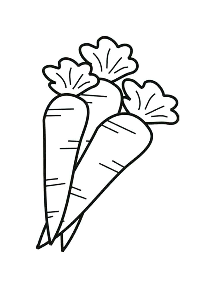 750x1000 Carrot Coloring Pages
