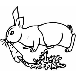 300x300 Rabbit With Carrot Coloring Page