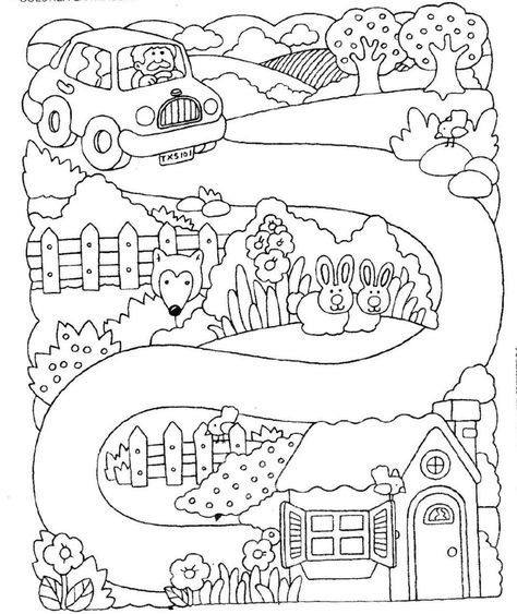 474x563 Burmese Python Camp Masala Burmese Python, Burmese