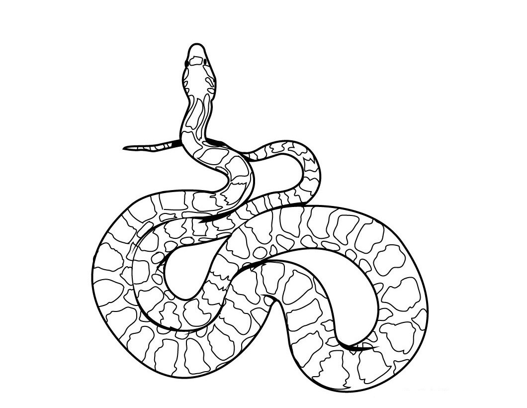 1060x820 Green Snake Coloring Pages