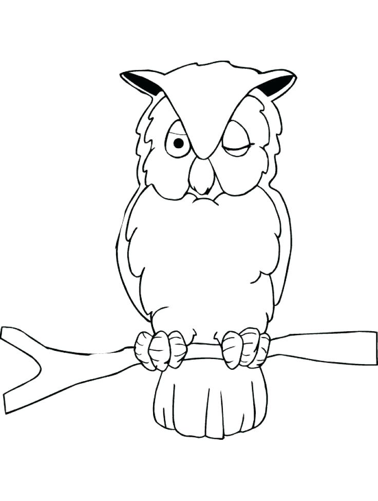 Cute Owl Coloring Pages For Adults Baby Page To Print Color 736x974 Cute Owl Coloring Pages For Adults Baby Page To Print Color