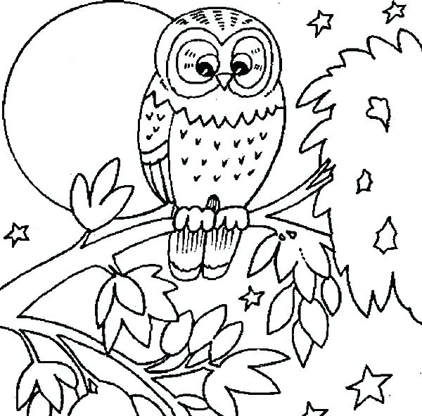 Owls Coloring Pages Burrowing Owl Coloring Page Owls Coloring 600x591 Owls Coloring Pages Burrowing Owl Coloring Page Owls Coloring