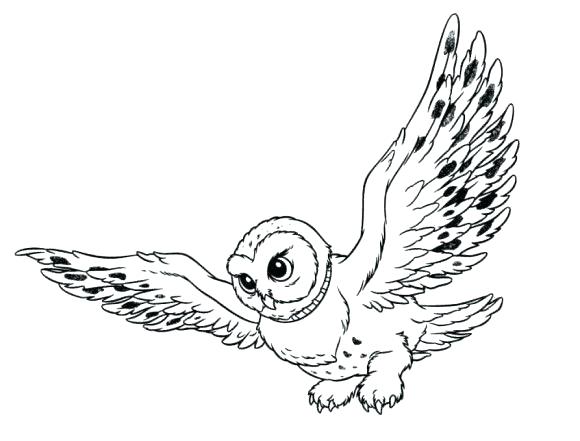 Snowy Coloring Pages Kids Snowy Owl Coloring Pictures 580x441 Snowy Coloring Pages Kids Snowy Owl Coloring Pictures