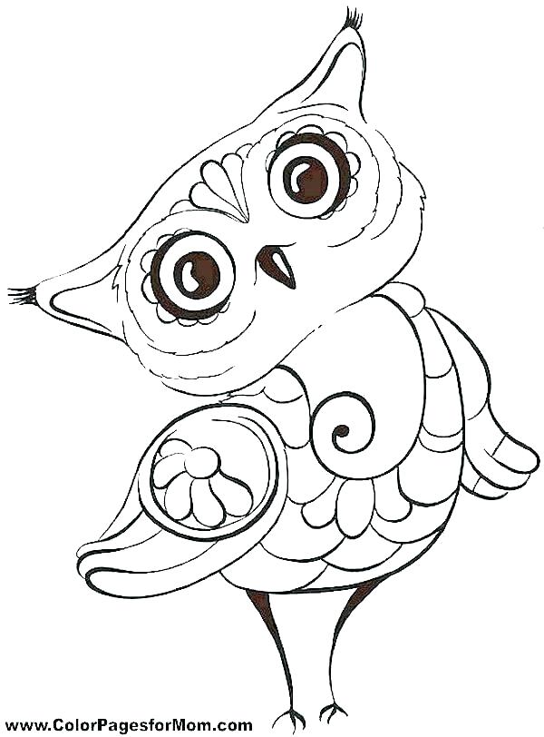 Owl Coloring Page 600x812 Owl Coloring Page