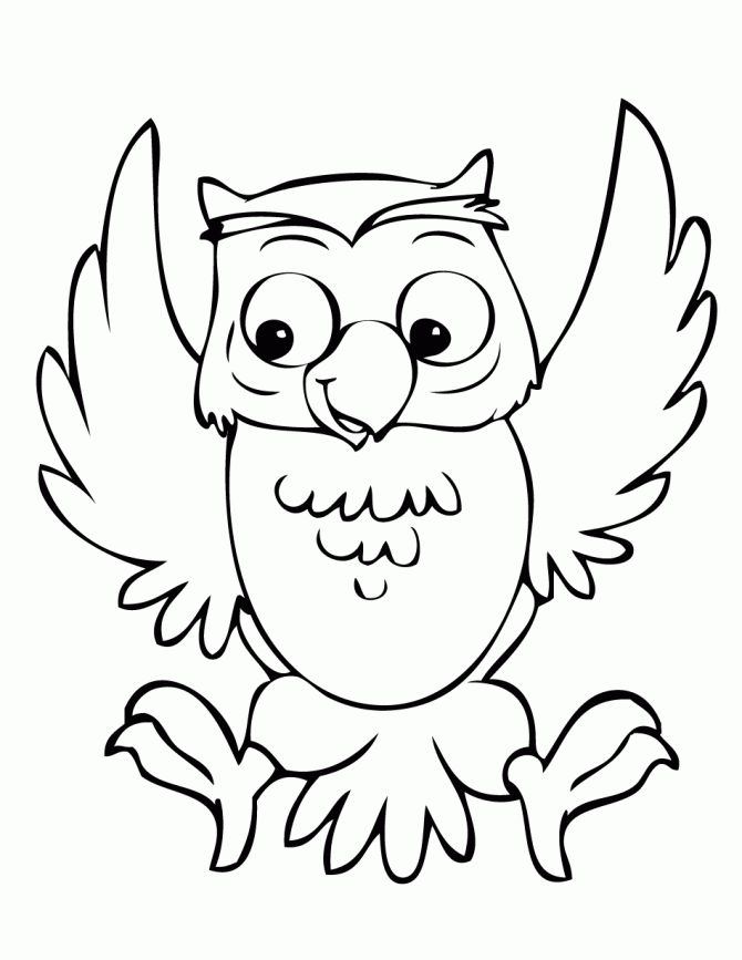 Color Clipart Owl 670x867 Color Clipart Owl
